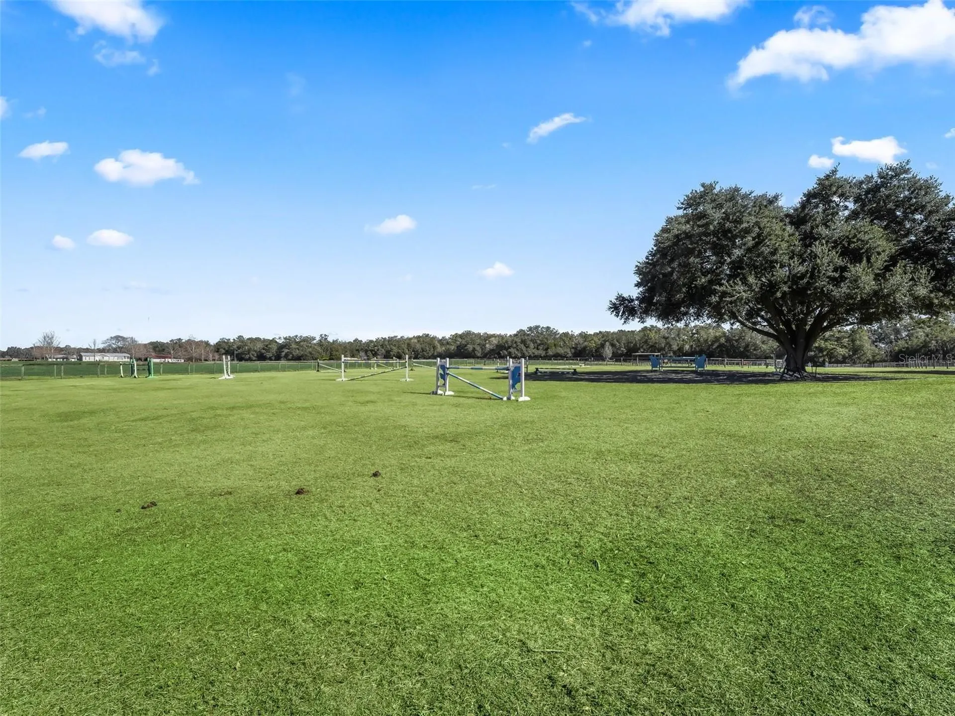 250 NE 195th Avenue Williston FL 32696