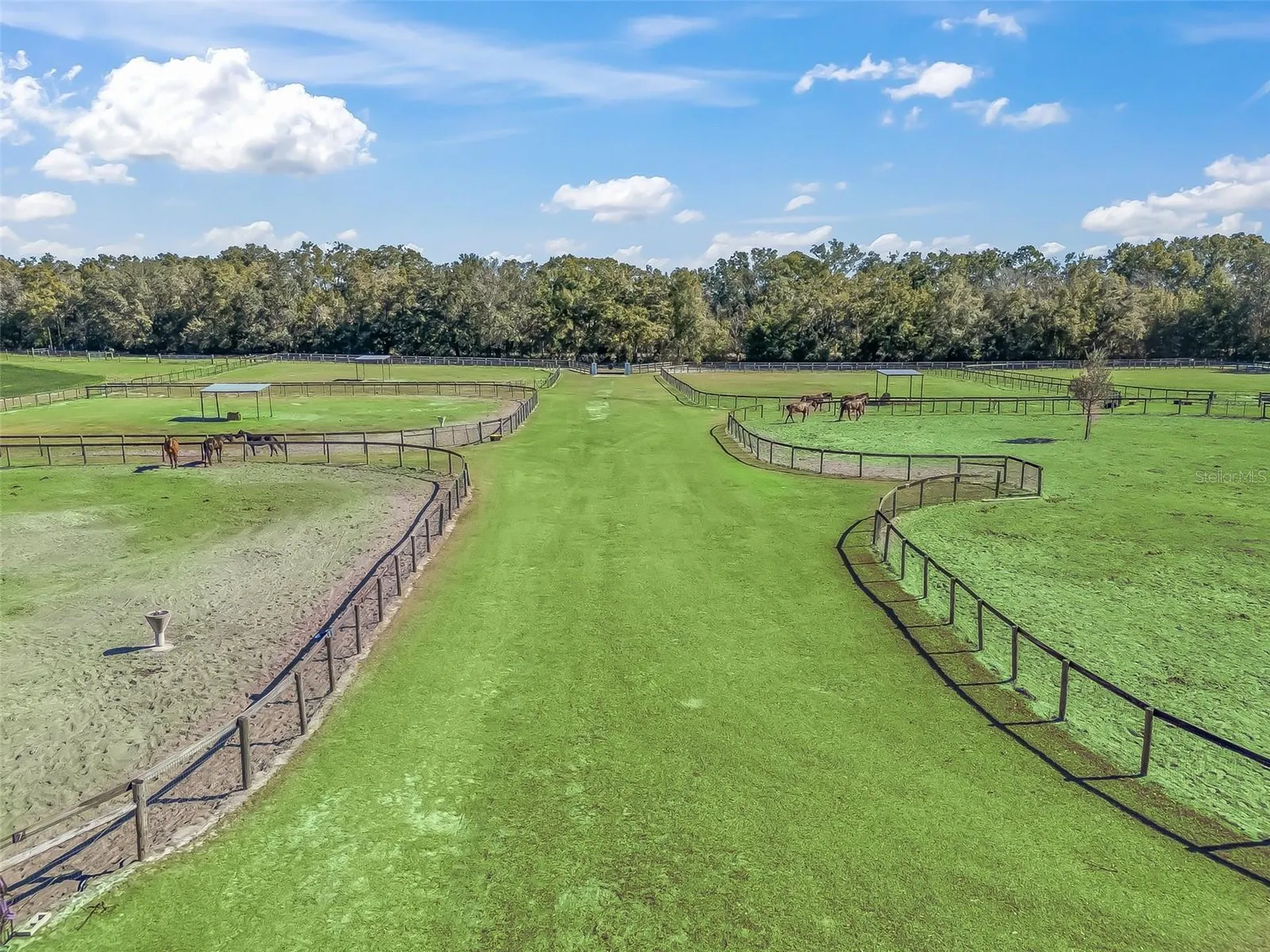 250 NE 195th Avenue Williston FL 32696