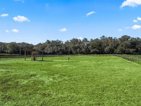 250 NE 195th Avenue Williston FL 32696