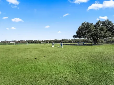 250 NE 195th Avenue Williston FL 32696