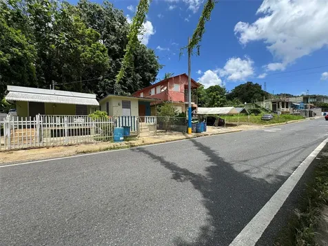 140 Ramon Torres Florida PR 00650
