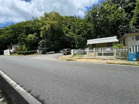 140 Ramon Torres Florida PR 00650