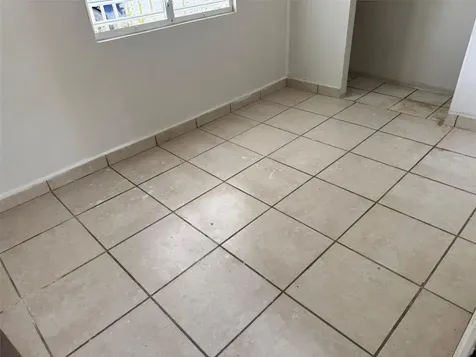 140 Ramon Torres Florida PR 00650