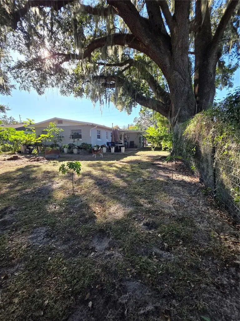 804 S Lone Oak Drive Leesburg FL 34748