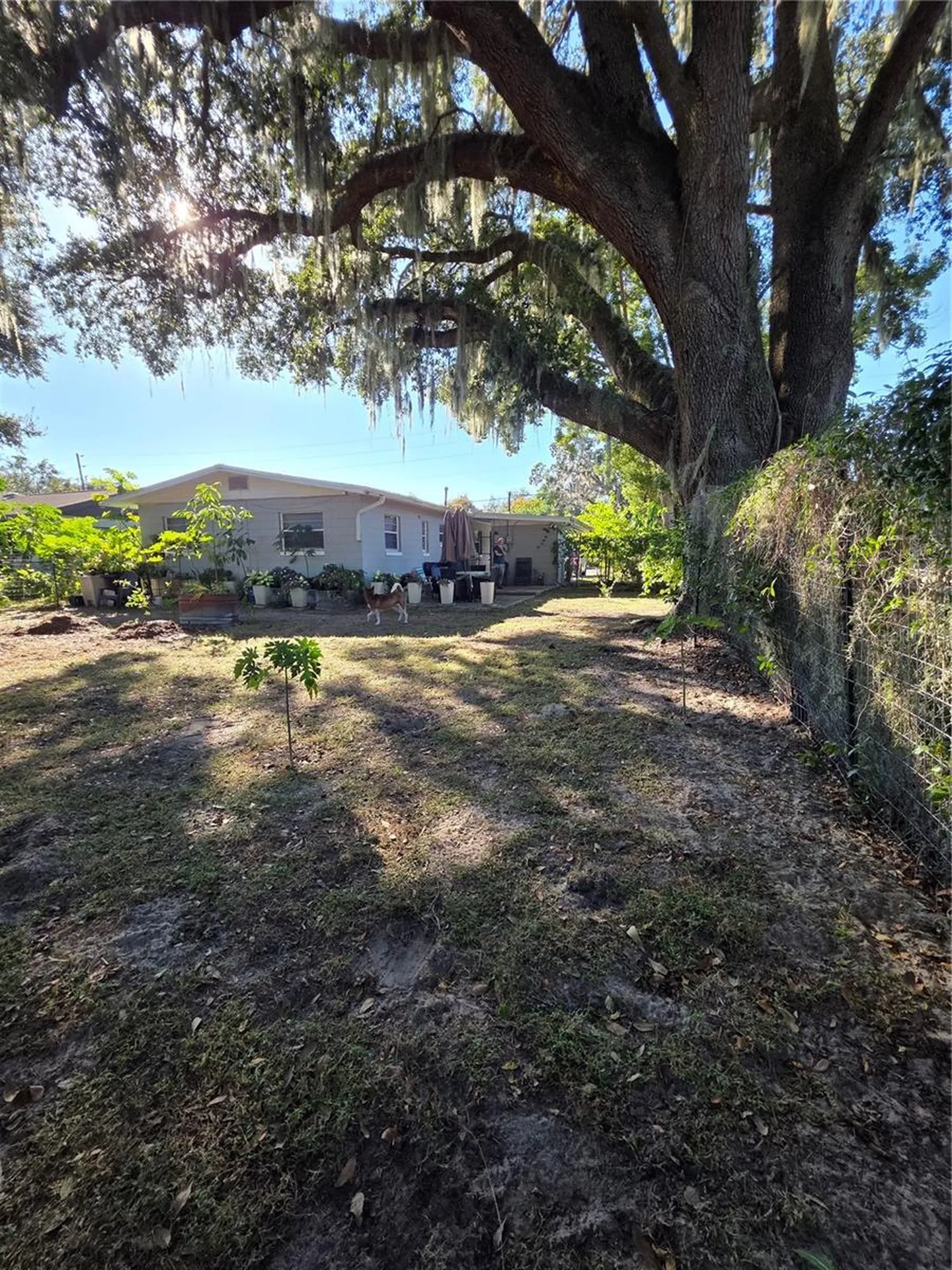 804 S Lone Oak Drive Leesburg FL 34748