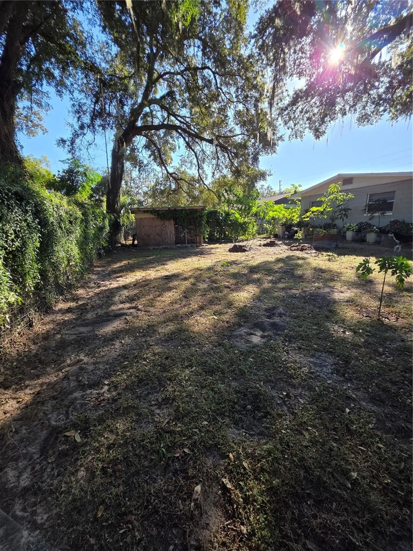 804 S Lone Oak Drive Leesburg FL 34748