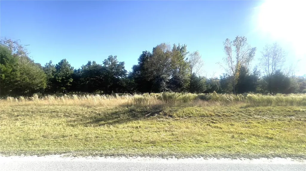 Lot 46 NW 73rd Street Chiefland FL 32626