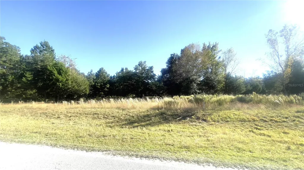 Lot 46 NW 73rd Street Chiefland FL 32626
