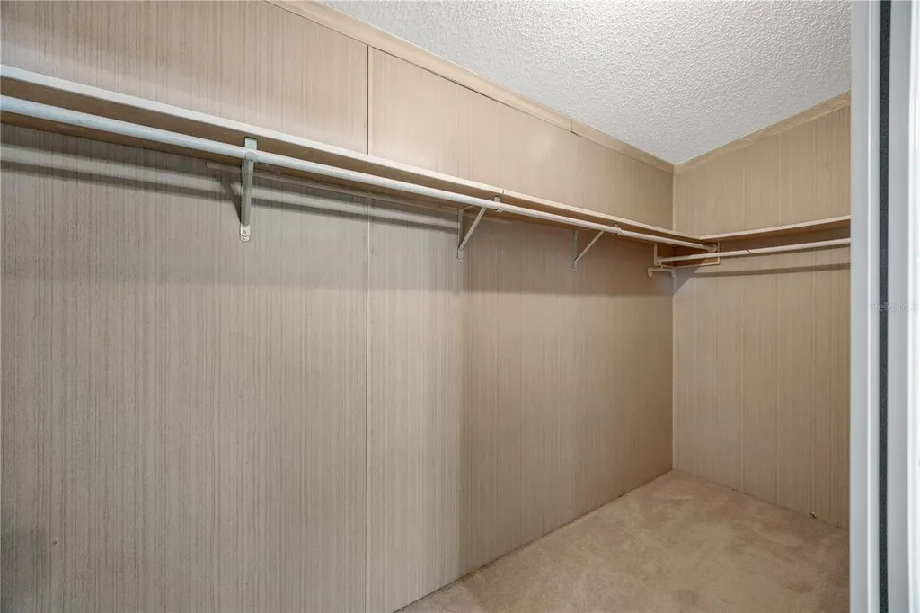 3141 Great Oak Street Wesley Chapel FL 33543