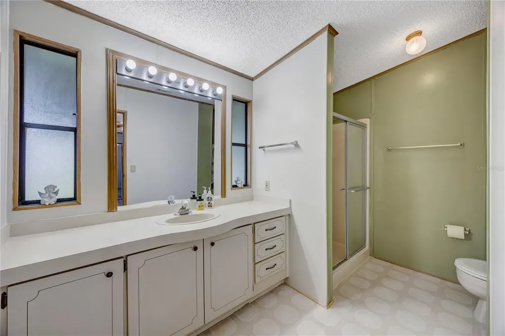 3141 Great Oak Street Wesley Chapel FL 33543