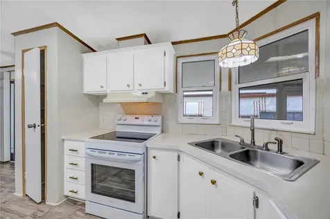 3141 Great Oak Street Wesley Chapel FL 33543
