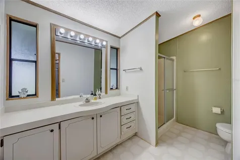 3141 Great Oak Street Wesley Chapel FL 33543