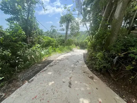 Km 19.9 Carr 128 Yauco PR 00698