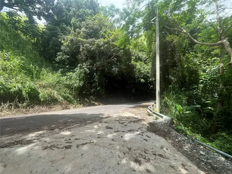 Km 19.9 Carr 128 Yauco PR 00698