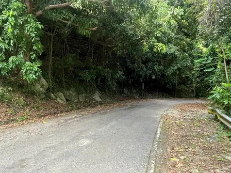 Km 19.9 Carr 128 Yauco PR 00698