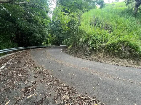 Km 19.9 Carr 128 Yauco PR 00698