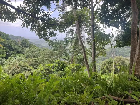 Km 19.9 Carr 128 Yauco PR 00698