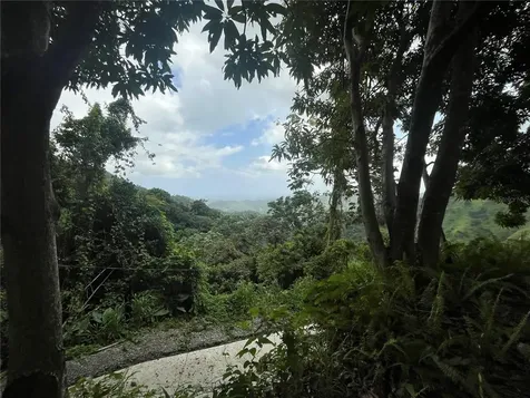 Km 19.9 Carr 128 Yauco PR 00698