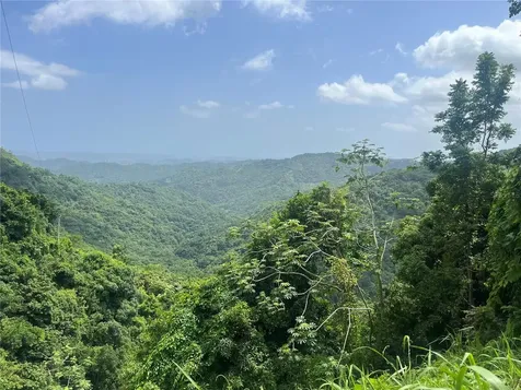 Km 19.9 Carr 128 Yauco PR 00698