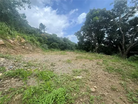 Km 19.9 Carr 128 Yauco PR 00698