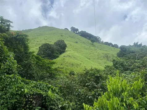 Km 19.9 Carr 128 Yauco PR 00698
