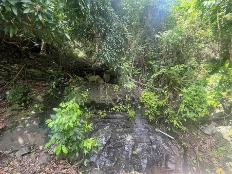 Km 19.9 Carr 128 Yauco PR 00698