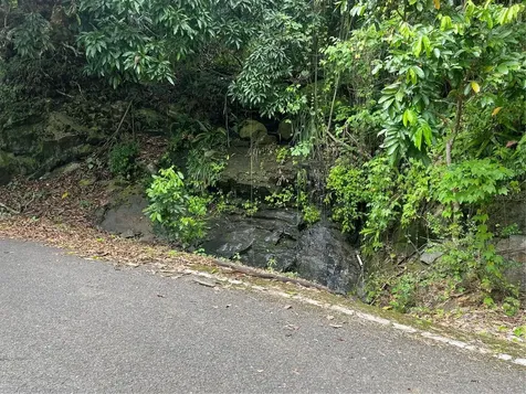 Km 19.9 Carr 128 Yauco PR 00698