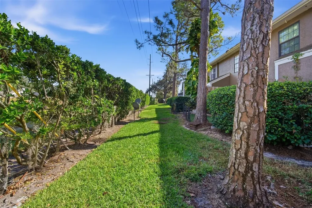16545 Lake Brigadoon Circle Tampa FL 33618