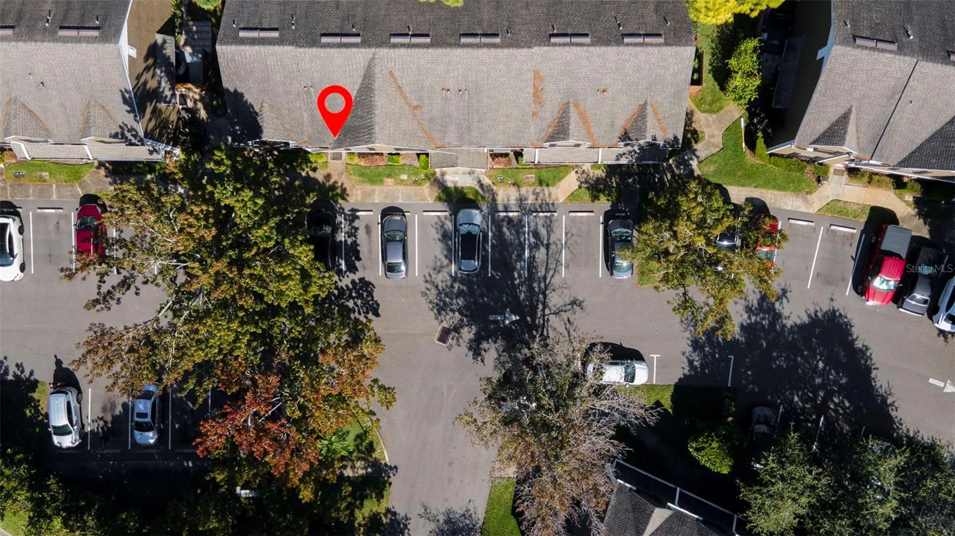 16545 Lake Brigadoon Circle Tampa FL 33618