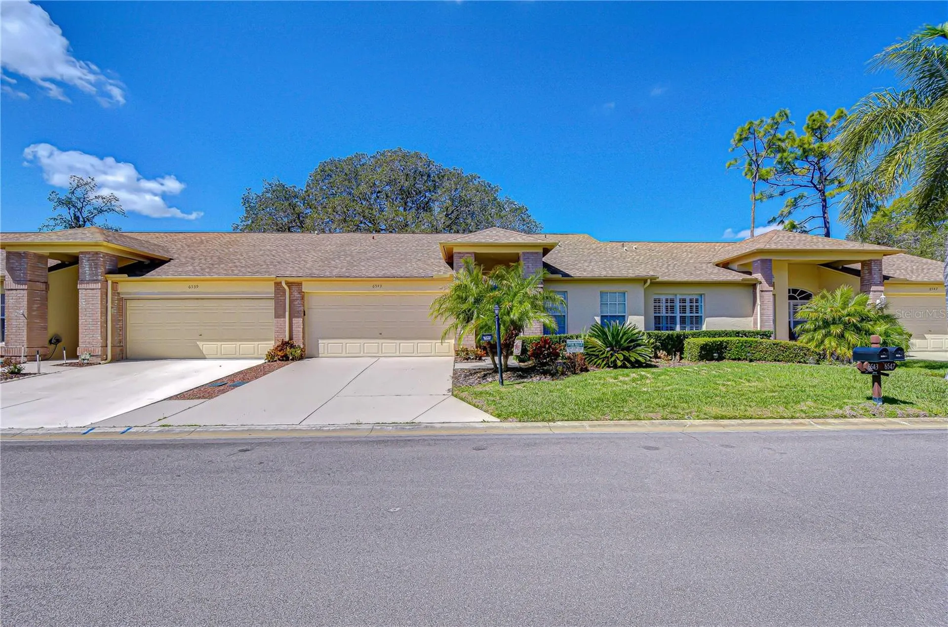 6543 Pine Walk Drive New Port Richey FL 34655