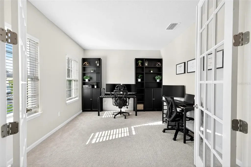 10196 Agave Court Land O Lakes FL 34638