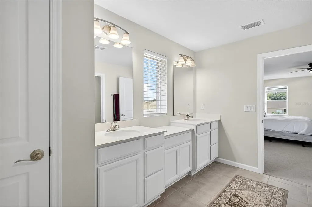 10196 Agave Court Land O Lakes FL 34638