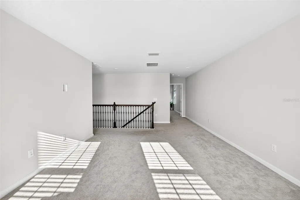 10196 Agave Court Land O Lakes FL 34638