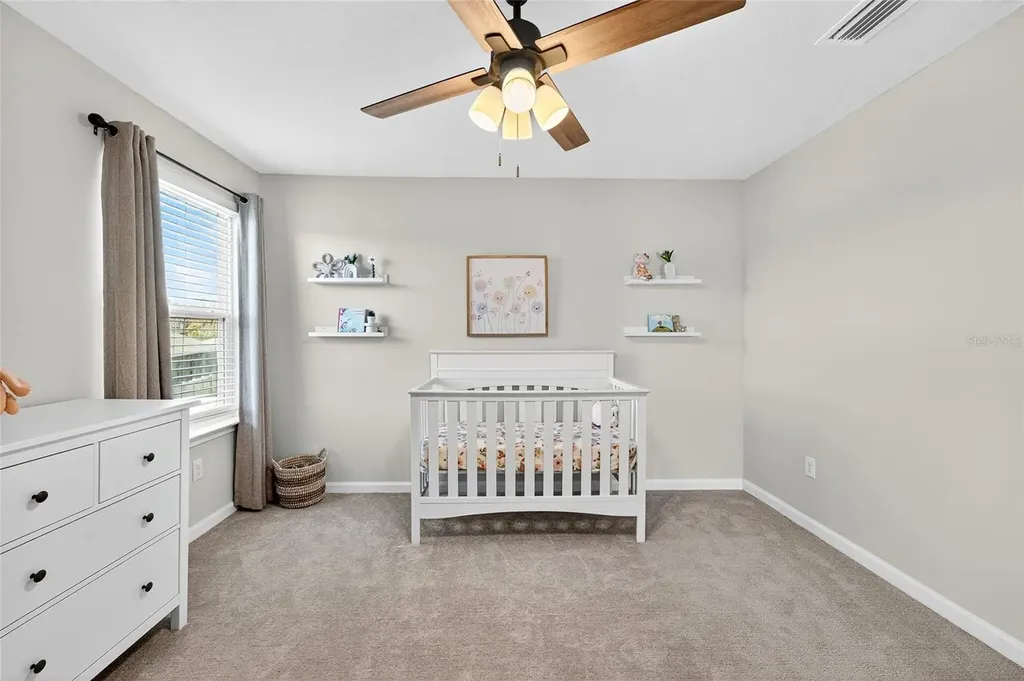 10196 Agave Court Land O Lakes FL 34638
