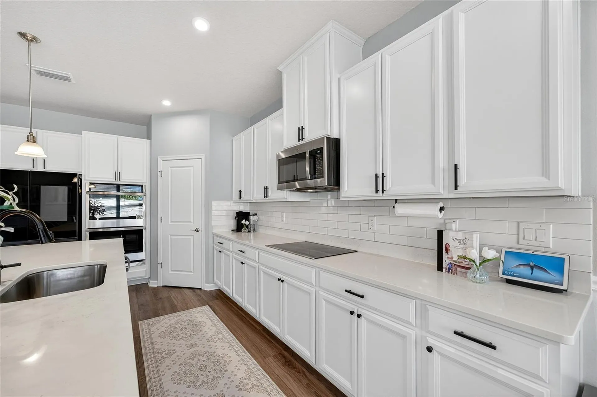 10196 Agave Court Land O Lakes FL 34638