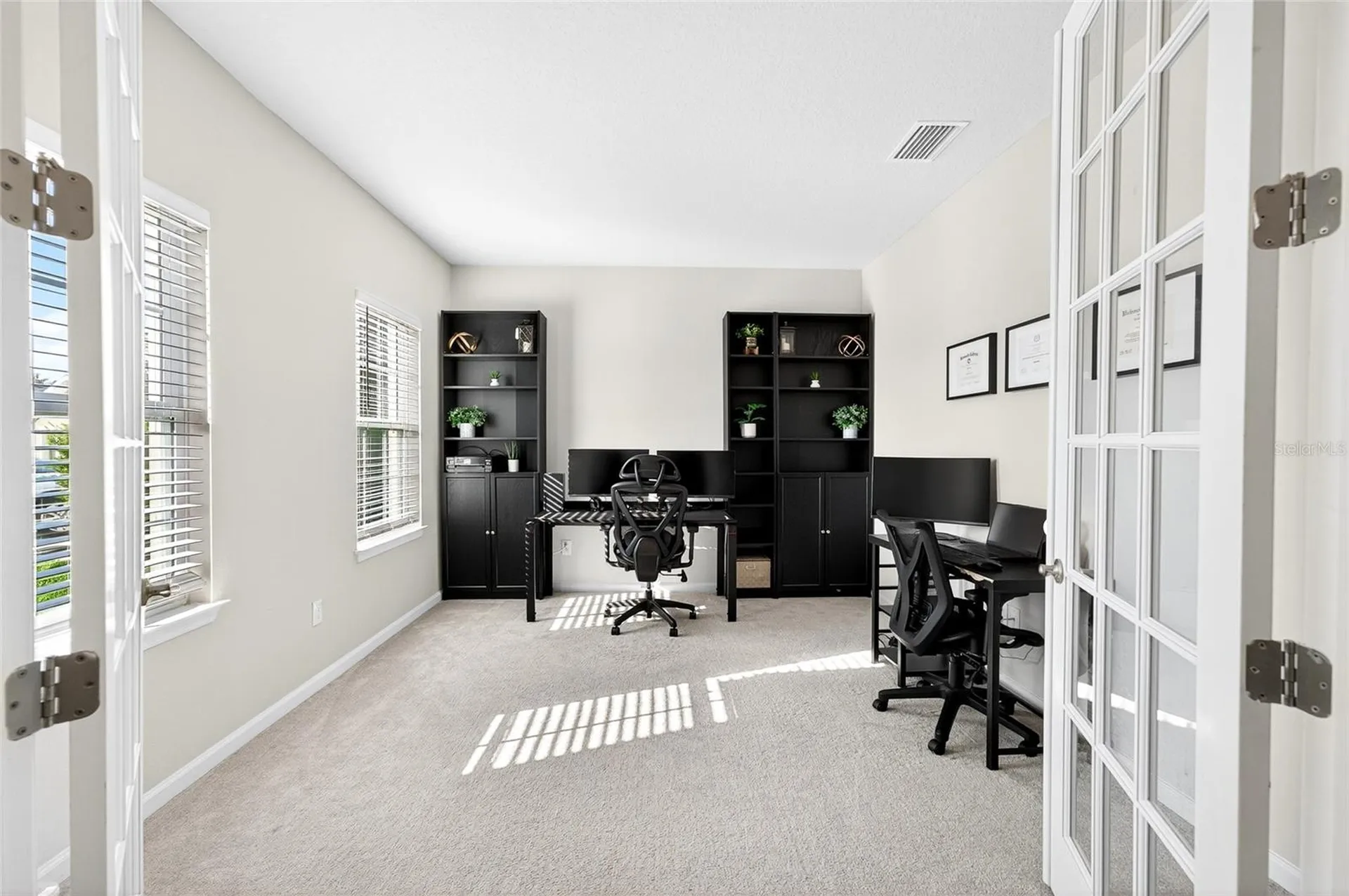 10196 Agave Court Land O Lakes FL 34638