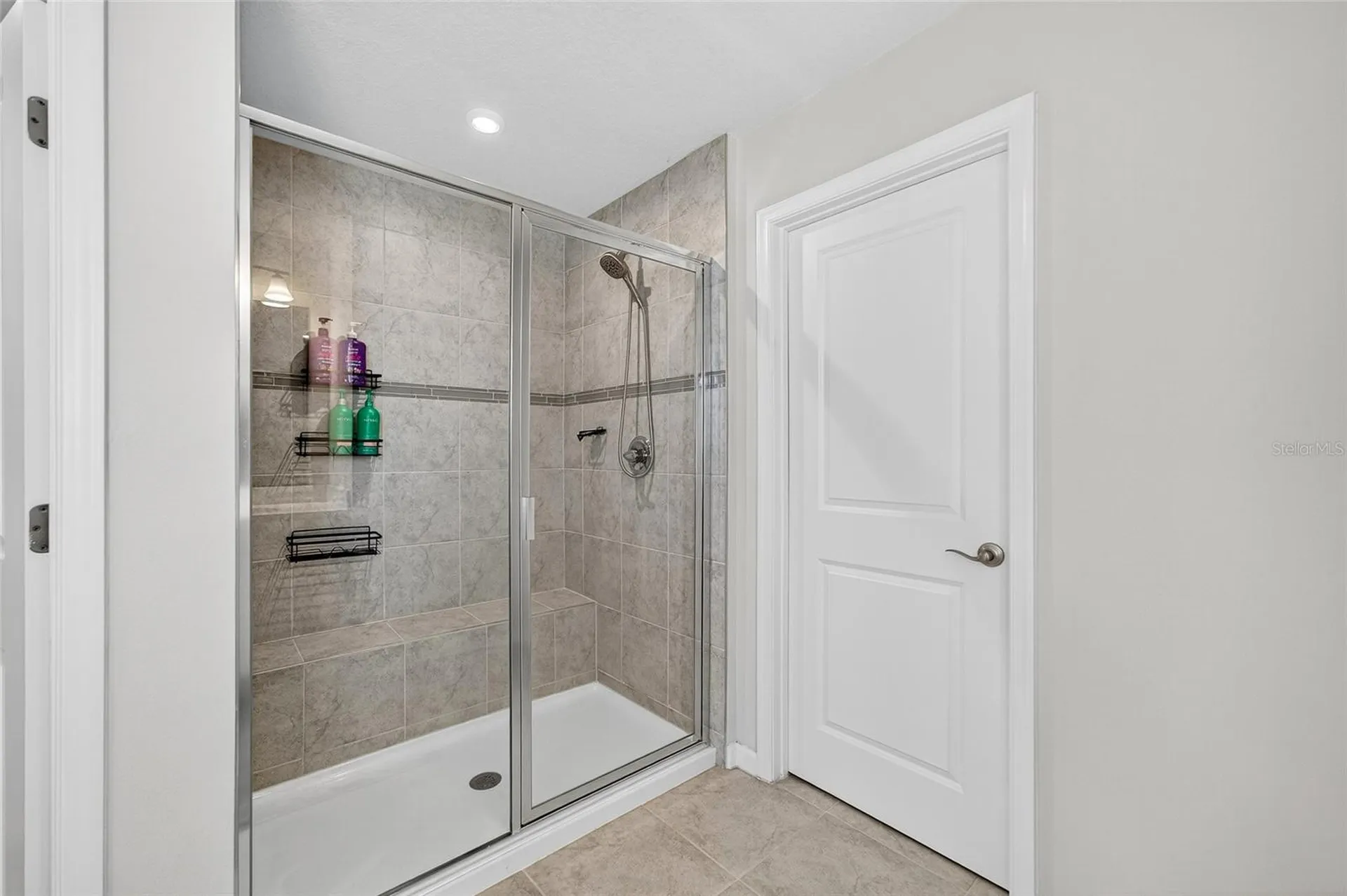 10196 Agave Court Land O Lakes FL 34638