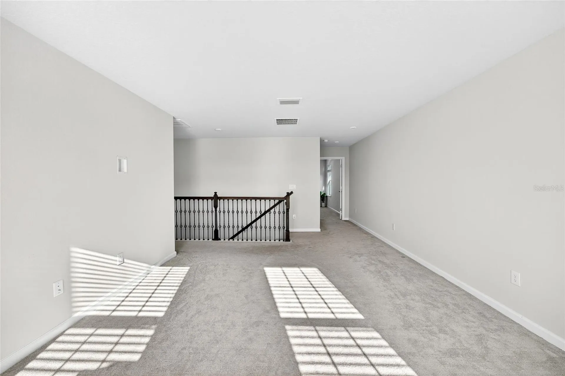 10196 Agave Court Land O Lakes FL 34638