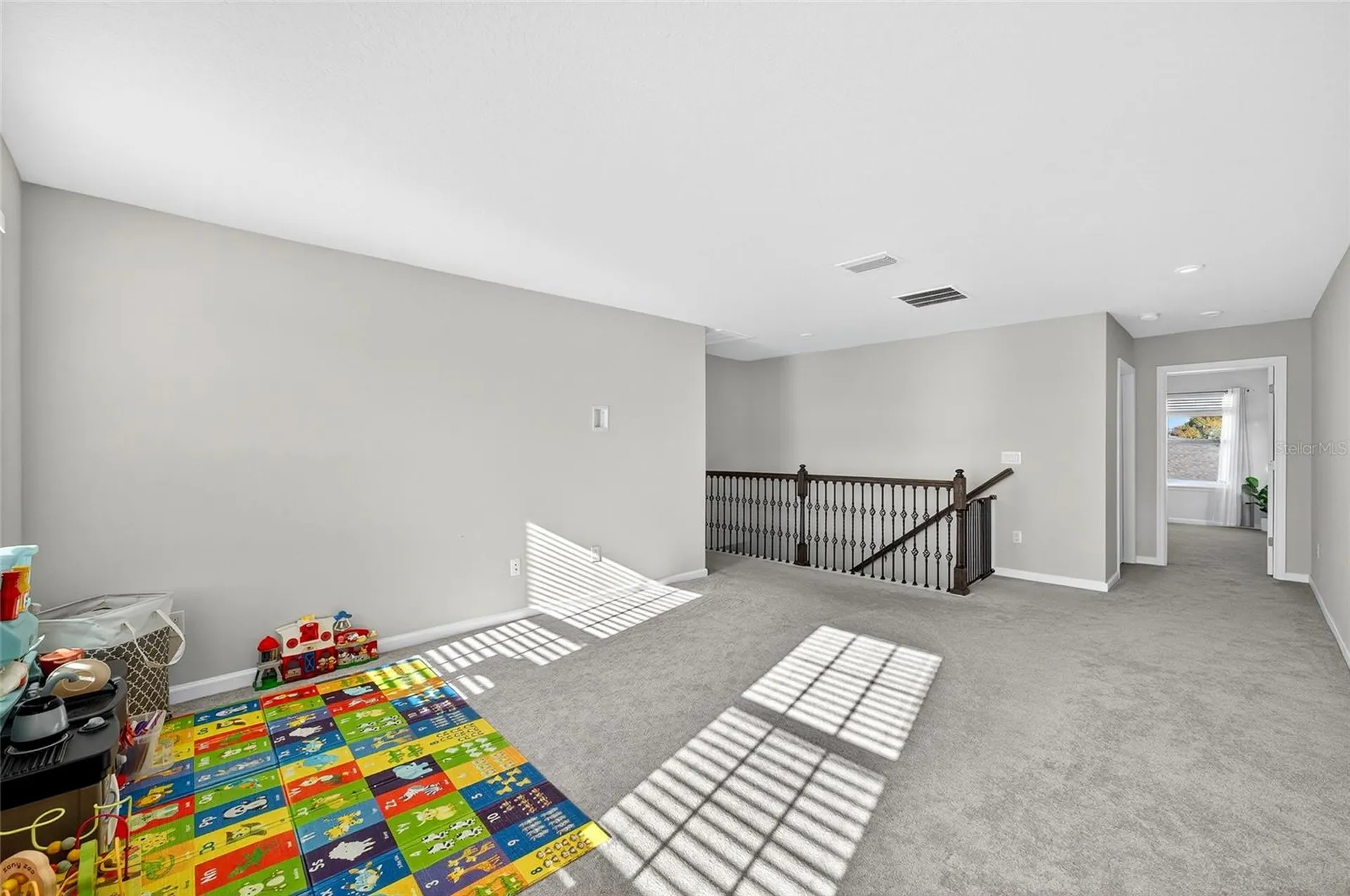 10196 Agave Court Land O Lakes FL 34638