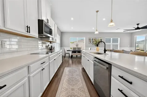 10196 Agave Court Land O Lakes FL 34638