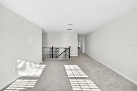 10196 Agave Court Land O Lakes FL 34638
