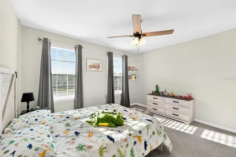 10196 Agave Court Land O Lakes FL 34638