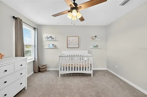 10196 Agave Court Land O Lakes FL 34638