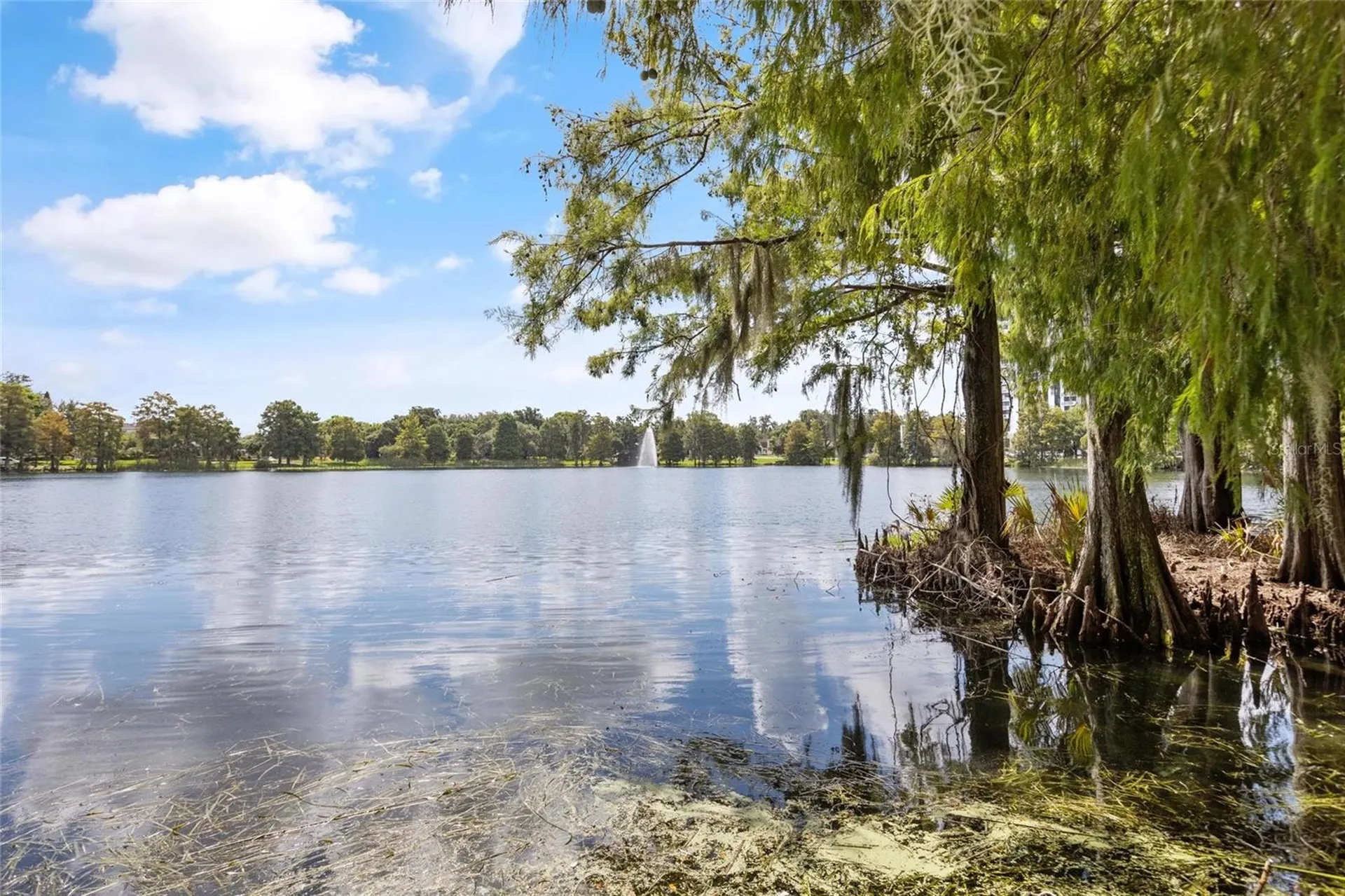266 Park Lake Street Orlando FL 32803