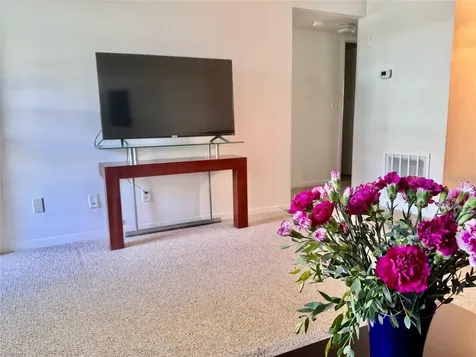 5217 81st Street N St Petersburg FL 33709