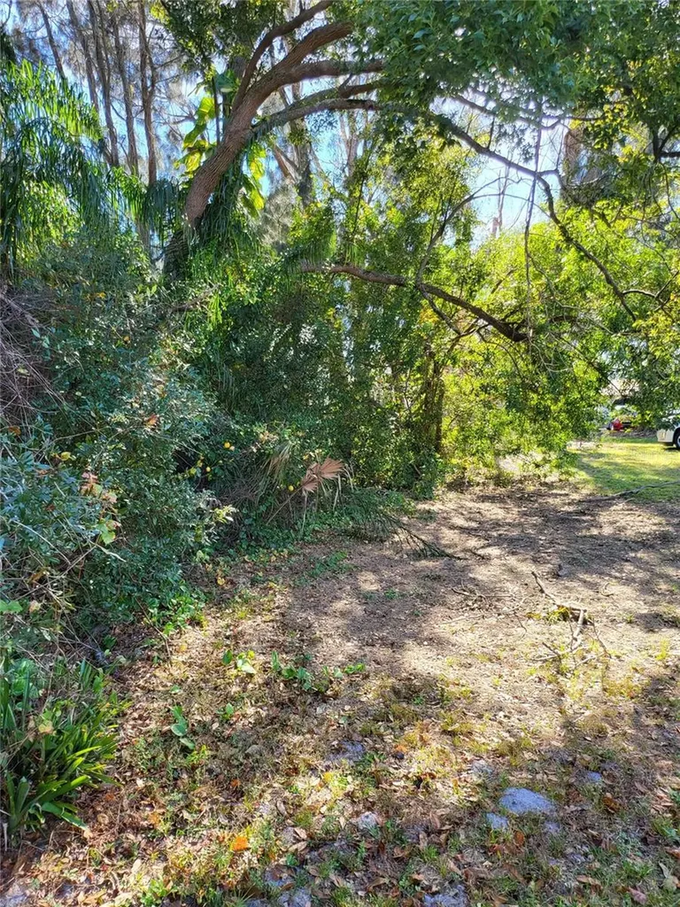 2131 Coachman Road NE Clearwater FL 33765