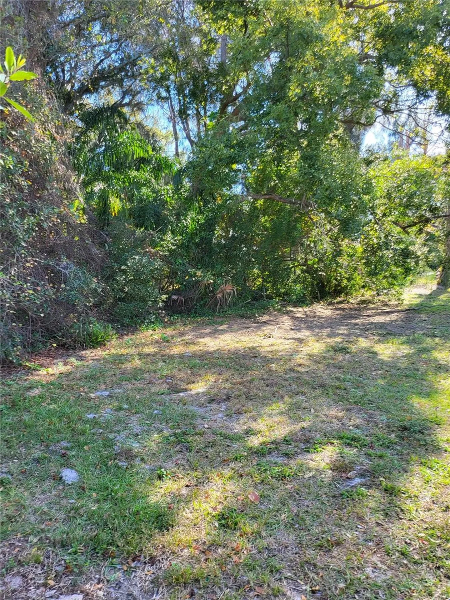 2131 Coachman Road NE Clearwater FL 33765