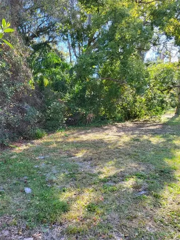 2131 Coachman Road NE Clearwater FL 33765