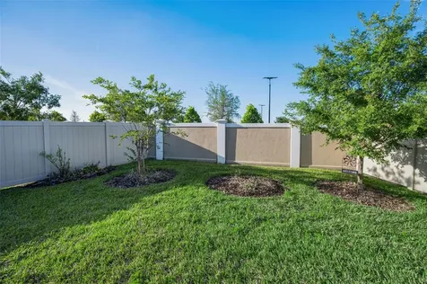 31763 Cabana Rye Avenue San Antonio FL 33576