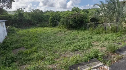 515 Calle Geranios Vieques PR 00765